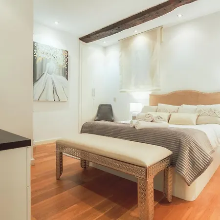 Classic Old Town Bilbao Apartment Bilbao